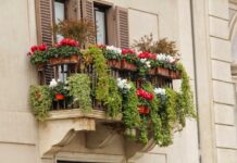 Jakie są najpopularniejsze kwiaty balkonowe?